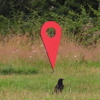 exetercdfresearch (@cdfresearchexe) 's Twitter Profile