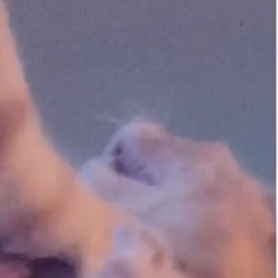 N0tBR0ther1's profile picture. yo my last account needed to be deleted but here’s the new one! Thank God