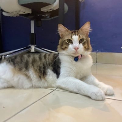 Sunyi itu bunyi yang sembunyi