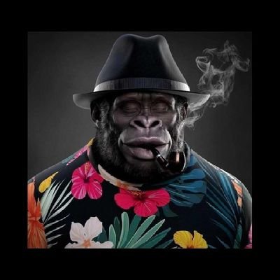 onyi_cindyz's profile picture. Love traveling