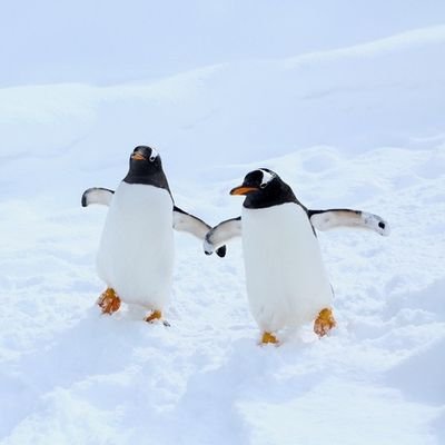 毒親育ち 宗教二世 毒親と統治体以外には罪は無いと考えられる人になって行きたい。だがアンフェアな意見には反論するかもね