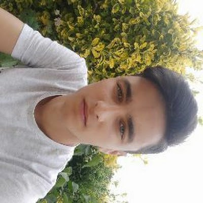 TimebackF's profile picture. 