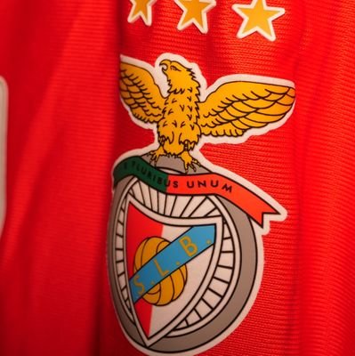 O passado inspira o futuro                                     
O Benfica são as pessoas
