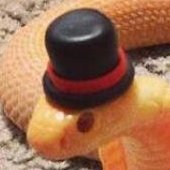 🔞 | 21 | Snake (smells really bad) | I type stinky words and sometimes I upload them too | Minors please do not interact