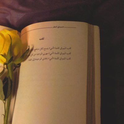 أجمل الاشيآء تلقآهآ : صدف والفرح دآيم ورى آلصبر آلجميل 🌴 .