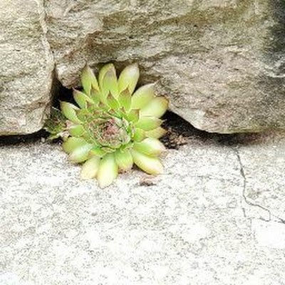 HollyJPlude's profile picture. 