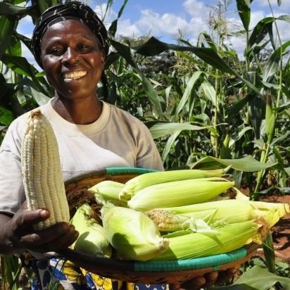 Agribusiness Expert | Entrepreneur
Farmer | Consultant | Exporter | Importer
Founder, Romida AA Enterprise
Founder, FITB Farm Business