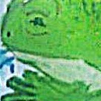 秘密のミーニーズ (@secret_meanies) 's Twitter Profile Photo