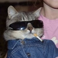 Иван Захаров (@ivanzah_) 's Twitter Profile Photo Иван Захаров (@ivanzah_) 's Twitter Profile Photo