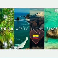 Ecuapolítica 👩🏫🇪🇨 (@ecuapolitica) 's Twitter Profile