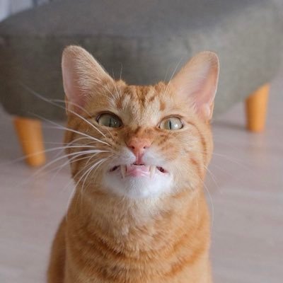 Just_here2Troll's profile picture. Just here to gain info & call out hypocrisy. Loudmouth, honest & proud of who I am. I hope you are too.