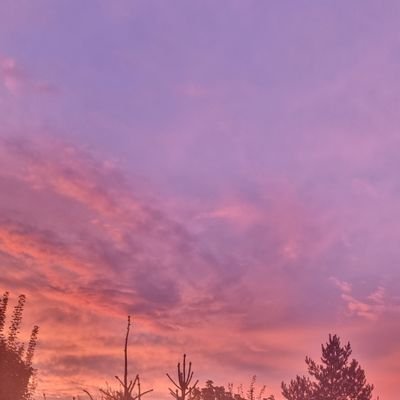 NuNu010202's profile picture. 