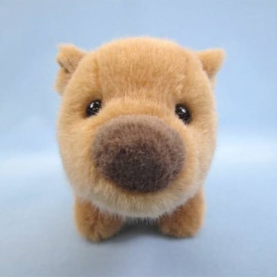 SentralDogma11's profile picture. 見かけた人全員フォローします。