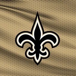 THIS IS NOT THE REAL N.O. SAINTS!!!      This is a profile for a fantasy league in madden 23