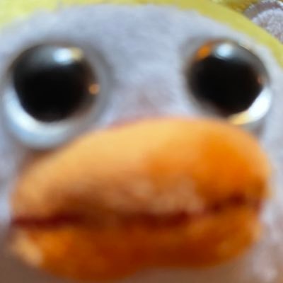 somehow kellyさんのプロフィール画像