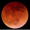 LUNCMIDNIGHT's profile picture. #LUNC