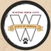Winter Indie City (@wic_segovia) Twitter profile photo Winter Indie City (@wic_segovia) Twitter profile photo