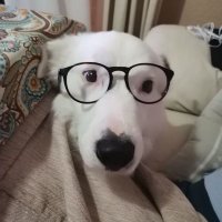 juanmagr_05 (@05juanmagr) 's Twitter Profile