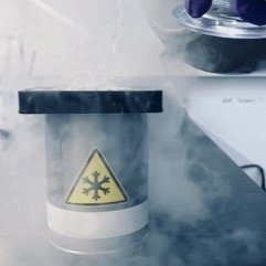 CryoStanford's profile picture. Stanford CryoEM Center - cEMc