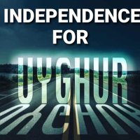 DilaraUighur (@dilareug) 's Twitter Profile