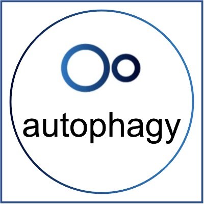 Daily updates on autophagy research. Covering macroautophagy, CMA, mitophagy, lysophagy, pexophagy, ER-phagy, aggrephagy, nucleophagy, and xenophagy.