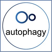 Autophagy Articles (@autophagyjc) 's Twitter Profile Photo Autophagy Articles (@autophagyjc) 's Twitter Profile Photo