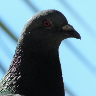 XEDespair's profile picture. Im not really on twitter nowadays