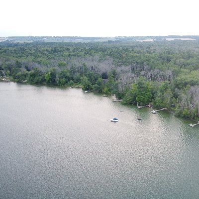 EmplifiSB's profile picture. Bongo