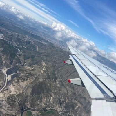 APtigerflyte's profile picture. 