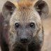 HourlyYeen (@hourlyyeen) Twitter profile photo HourlyYeen (@hourlyyeen) Twitter profile photo