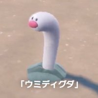 藤本修也 (@donchan_party) Twitter profile photo