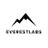 EverestLabs_ai's profile image