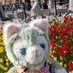 しずく (@ss343re) Twitter profile photo しずく (@ss343re) Twitter profile photo