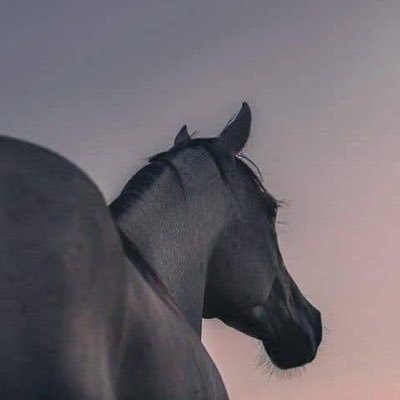 هُنا شخص غير مؤذي، تعرض للكثير من الأذىٰ. حبيبه رجل جداً عظيم