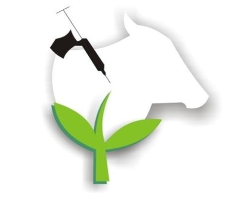 IDIARN's profile picture. IDIARN - Instituto de Defesa e Inspeção Agropecuária do RN