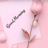 SIMPLI_C_T🌹 (@simpli_c_tt) 's Twitter Profile