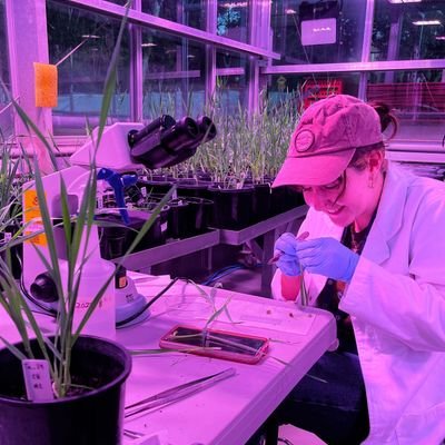 PhD candidate at the University of Queensland looking at epigenetics and barley.