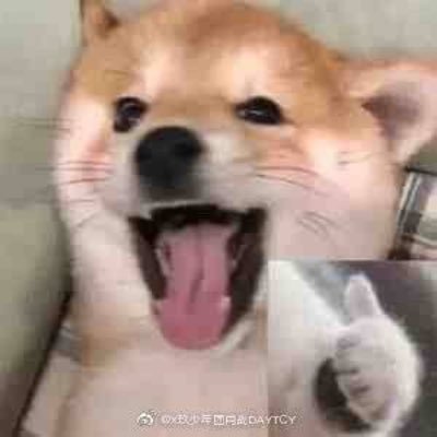 nothingelse212's profile picture. nada por aquí nada por allá