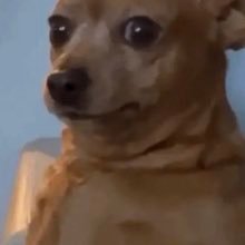 annehccosta's profile picture. Apenas escrevendo os meus surtos diários.