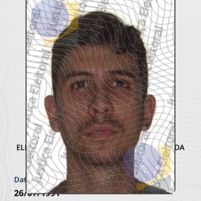luizfernandoeu's profile picture. Um eterno aprendiz das escolhas que eu fiz