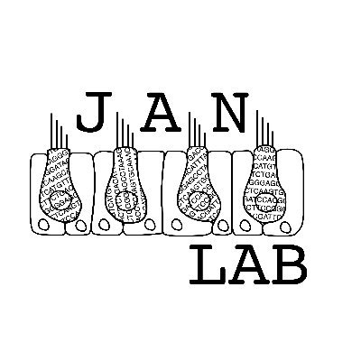 Forging the intersection of inner ear regeneration and computational biology. Tweets are our own.