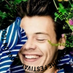 𝓪𝓼𝓽𝓻𝓸𝓷𝓸𝓶𝔂 (@Reader_Larrie) Twitter profile photo