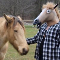 HorseGuy(@ShutUpKaren14) 's Twitter Profile Photo