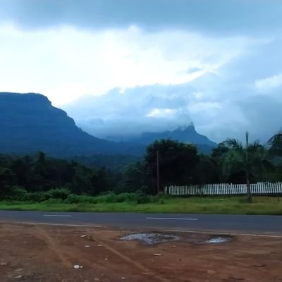 SHAIKHAA8087's profile picture. 