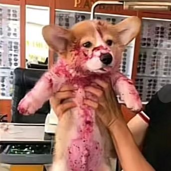 yangleran666's profile picture. 