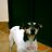 Ismael_Morilla's profile image