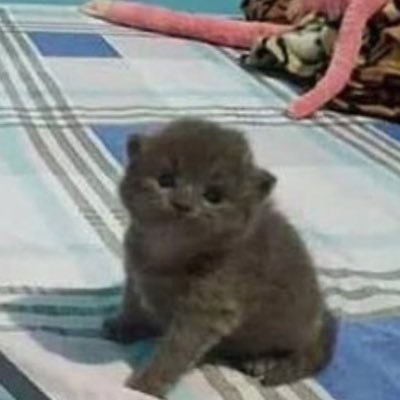 jajaorhaha's profile picture. 