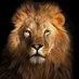 lucas mwalasha (@mwalasha_lucas) Twitter profile photo lucas mwalasha (@mwalasha_lucas) Twitter profile photo