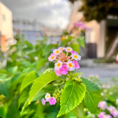 介護福祉士試験受かりました！地球を良くする為に必要なアイテム！ 趣味は幸せ拾い（ゴミ拾い）です。 細々やってますが、金銭的に追いつかなくなってきました、、 お気持ちお願いします！