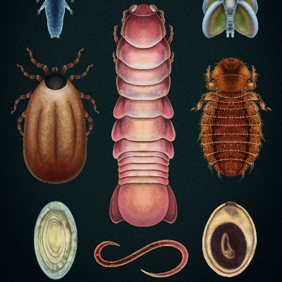 team @IBE_Warszawa focused on the impact of extinction and climate warming on parasite-host interactions and disease in deep time. https://t.co/BV0f2GjSTK